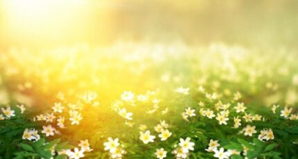 Seyresse Terrain à bâtir - 2313011-11650annonce120251021aUd3F.jpeg Maisons France Confort