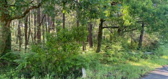 Terrain à bâtir à Sanguinet, Nouvelle-Aquitaine