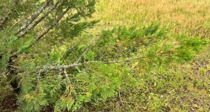 Bénesse-Maremne Maison neuve - 2313301-11650annonce120251022DLtBT.jpeg Maisons France Confort