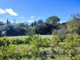 Terrain à bâtir à Puget-Ville (83390) 2313332-11039annonce320251022rxBDg.jpeg Maisons France Confort
