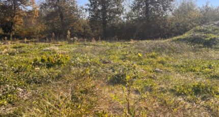 Fargues Terrain à bâtir - 2313366-3601annonce120251022rEodE.jpeg Maisons France Confort