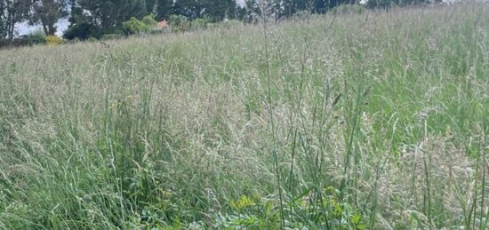 Terrain à bâtir à Bardos, Nouvelle-Aquitaine