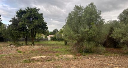 Malataverne Terrain à bâtir - 2294654-6150annonce520251005B3pKd.jpeg Maisons France Confort