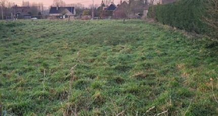 Brillon Terrain à bâtir - 2245316-10863annonce320250814ET9RF.jpeg Maisons France Confort