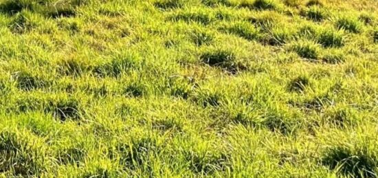 Terrain à bâtir à Castets, Nouvelle-Aquitaine