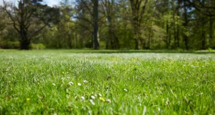 Druye Terrain à bâtir - 2314004-3427annonce120251022nCVb6.jpeg Maisons France Confort