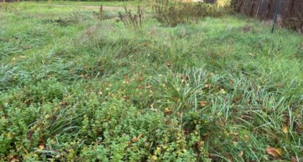 Arès Terrain à bâtir - 2314139-11645annonce120251022rkGiJ.jpeg Maisons France Confort