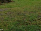 Maison à construire à Dax (40100) 2313998-11650annonce120251022G9ptq.jpeg Maisons France Confort