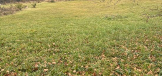 Terrain à bâtir à Montcaret, Nouvelle-Aquitaine