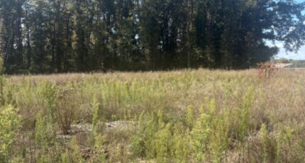 Galgon Terrain à bâtir - 2265716-10947annonce1202509093U21m.jpeg Maisons France Confort