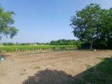 Terrain à bâtir à Baron (33750) 2314647-11193annonce120251023FBZmN.jpeg Maisons France Confort
