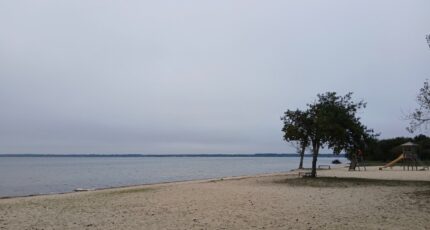 Parentis-en-Born Terrain à bâtir - 2314710-11193annonce120251023wAc7y.jpeg Maisons France Confort