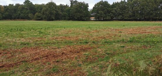 Terrain à bâtir à Le Barp, Nouvelle-Aquitaine