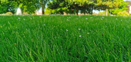 Terrain à bâtir à Le Porge, Nouvelle-Aquitaine