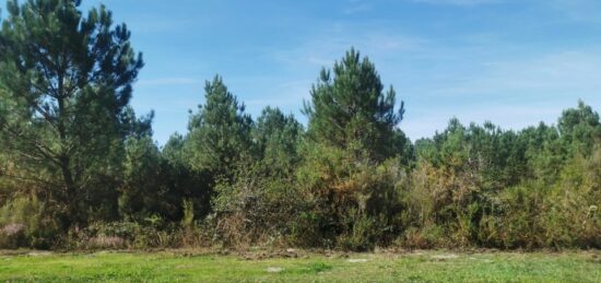 Terrain à bâtir à Le Barp, Nouvelle-Aquitaine