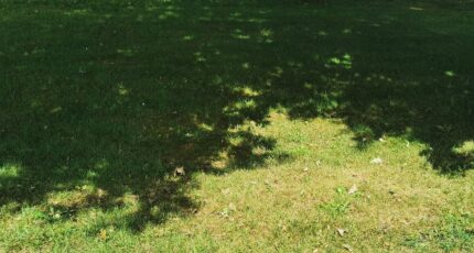 Sanguinet Terrain à bâtir - 2311713-3957annonce1202510208TQRb.jpeg Maisons France Confort