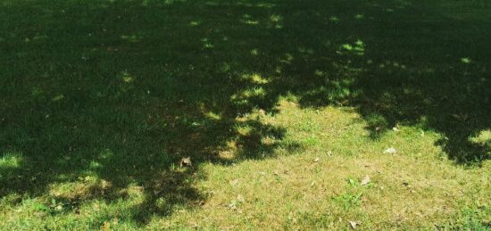 Terrain à bâtir à Sanguinet, Nouvelle-Aquitaine