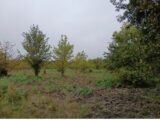 Terrain à bâtir à Gastes (40160) 2314735-11193annonce120251023oniAG.jpeg Maisons France Confort