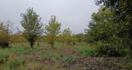 Gastes Terrain à bâtir - 2314735-11193annonce120251023oniAG.jpeg Maisons France Confort