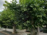 Terrain à bâtir à Pessac (33600) 2314995-11382annonce120251023x5DNR.jpeg Maisons France Confort