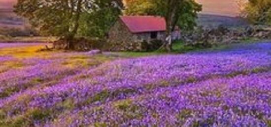 Terrain à bâtir à Neuillé, Pays de la Loire