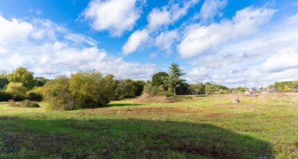 Chenonceaux Maison neuve - 2250490-10205annonce120250417RMAaV.jpeg Maisons France Confort