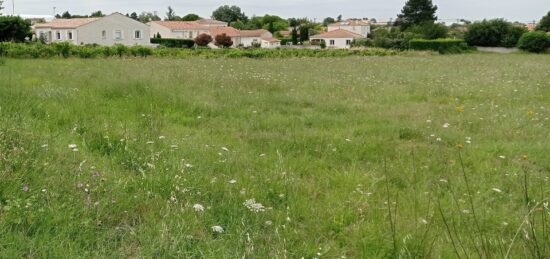 Terrain à bâtir à Meschers-sur-Gironde, Nouvelle-Aquitaine