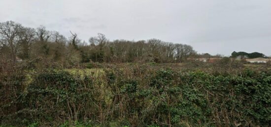 Terrain à bâtir à Étaules, Nouvelle-Aquitaine
