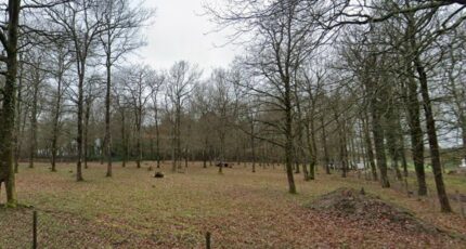 Médis Terrain à bâtir - 2315667-7092annonce120250918BgpAo.jpeg Maisons France Confort