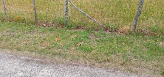 Terrain à bâtir à Le Temple, Nouvelle-Aquitaine