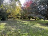 Maison à construire à Thoiry (78770) 2315743-10686annonce120251023f5Dlc.jpeg Maisons France Confort