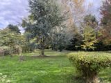 Maison à construire à Thoiry (78770) 2315743-10686annonce2202510235QXwA.jpeg Maisons France Confort