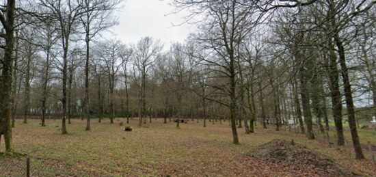 Terrain à bâtir à Médis, Nouvelle-Aquitaine