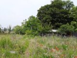 Maison à construire à Cuts (60400) 2313932-4496annonce120251022FZIch.jpeg Maisons France Confort