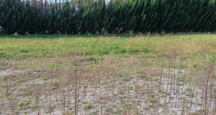 Biganos Terrain à bâtir - 2317000-1072annonce120251024Q1Ede.jpeg Maisons France Confort