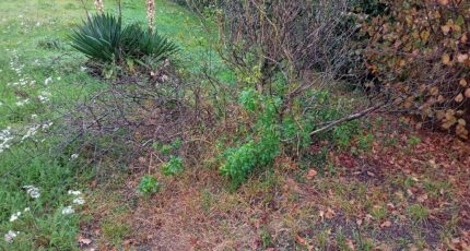 Marcheprime Terrain à bâtir - 2316962-1072annonce120251024lWlGE.jpeg Maisons France Confort