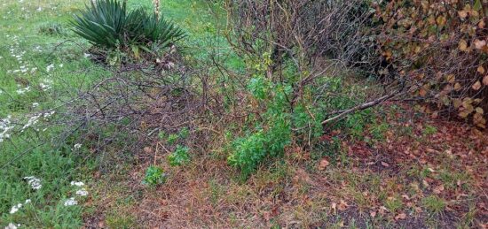 Terrain à bâtir à Marcheprime, Nouvelle-Aquitaine