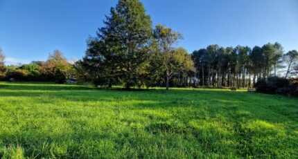 Uzeste Terrain à bâtir - 2317399-10677annonce120251024FkML8.jpeg Maisons France Confort