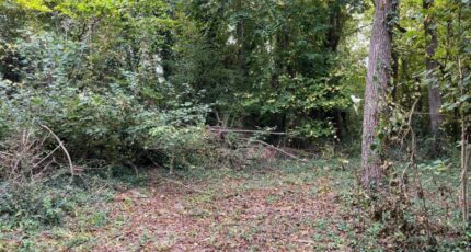 Caours Terrain à bâtir - 2317261-5042annonce320251024uQl5q.jpeg Maisons France Confort