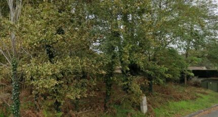 Ayguemorte-les-Graves Terrain à bâtir - 2317811-3601annonce120251025GTnCI.jpeg Maisons France Confort