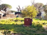 Maison à construire à Fréjus (83600) 2317825-3701annonce1202510256BemR.jpeg Maisons France Confort