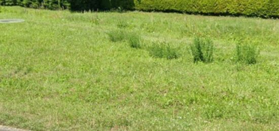 Terrain à bâtir à Blaye, Nouvelle-Aquitaine