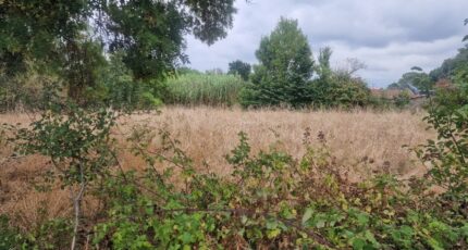 Mazion Terrain à bâtir - 2318246-11516annonce12025102608SEy.jpeg Maisons France Confort