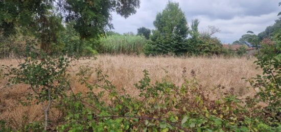 Terrain à bâtir à Mazion, Nouvelle-Aquitaine