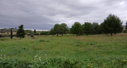 Canet Terrain à bâtir - 2318261-11040annonce1202510265v5eI.jpeg Maisons France Confort