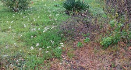 Marcheprime Terrain à bâtir - 2316250-1072annonce120251023KN0SK.jpeg Maisons France Confort