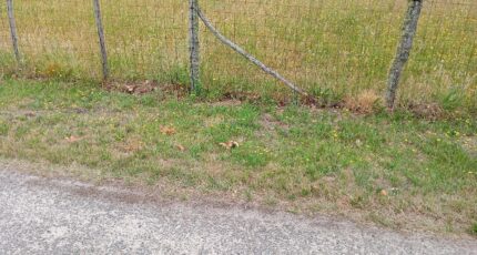 Sanguinet Terrain à bâtir - 2316251-1072annonce120251023gCUAM.jpeg Maisons France Confort