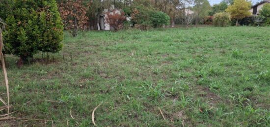 Terrain à bâtir à Tournefeuille, Occitanie