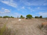 Maison à construire à Pouzolles (34480) 2318495-11040annonce1202510276C2MT.jpeg Maisons France Confort