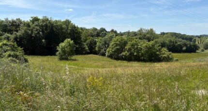 Saint-Jean-Lherm Terrain à bâtir - 2316309-11356annonce320251024rE3nt.jpeg Maisons France Confort